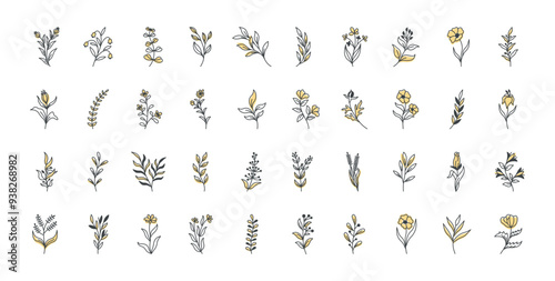 Hand drawn line aesthetic flowers set, vector minimal floral element collection, monochrome, linear flowers, leaves for posters, wall art, cover, decoration. Wedding invitation, wallpaper art brunch.