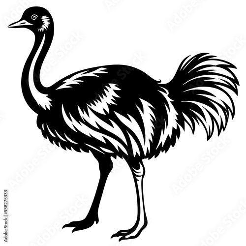 Ostrich silhouette Vector Digital Download