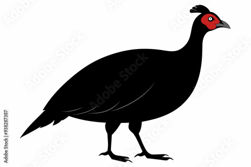 Solid black Guinea Fowl animal vector