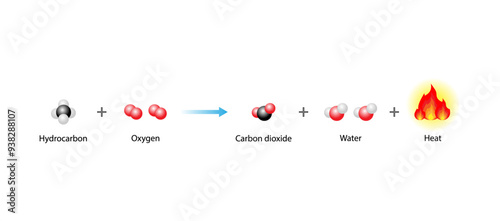 Combustion reaction. chemical reaction hydrocarbon and oxygen reaction to produce carbon dioxide, water and heat. Experiment explanation. Scientific vector illustration.