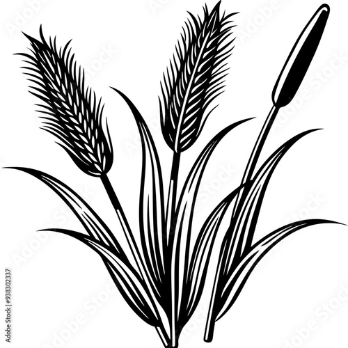 Reed  Art art vector illustration