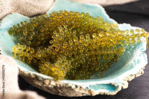 Caulerpa lentillifera seaweed is a species of bryopsidale green algae photo