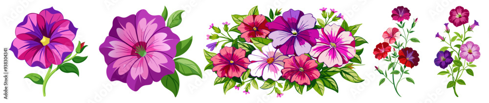 Obraz premium illustration of flower, Petunia flower isolated on white background, Petunia illustration, Petunia flower vector