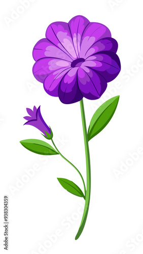 illustration of flower, Petunia flower isolated on white background, Petunia illustration, Petunia flower vector