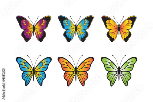 Butterfly Vector Collection.
