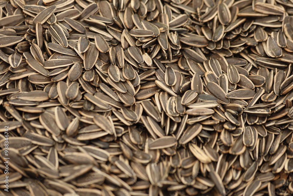 unsalted and roasted sunflower seeds unsalted and roasted sunflower seeds