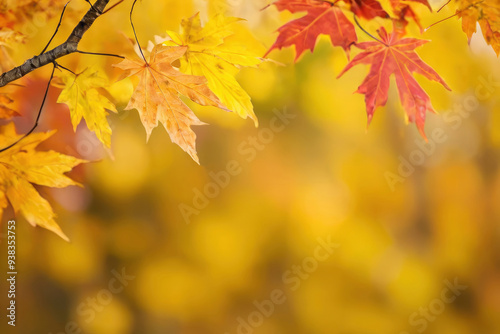 Autumn bright maple leaves on blurred background, defocused fall landscape. For autumnal decoration, digital artwork, seasonal promotion backdrop, banner, advertising, graphic design, creative project