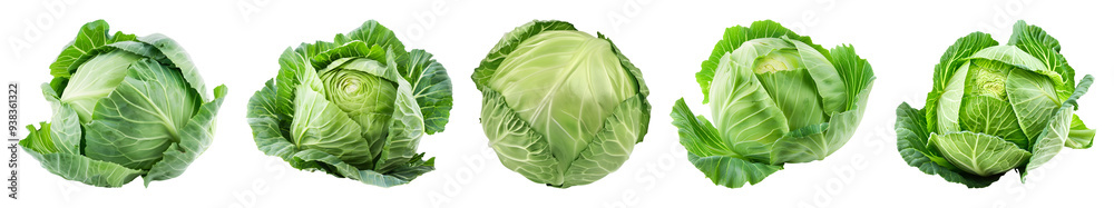 Set of green cabbages isolated on a transparent background Set of green cabbages isolated on a transparent background