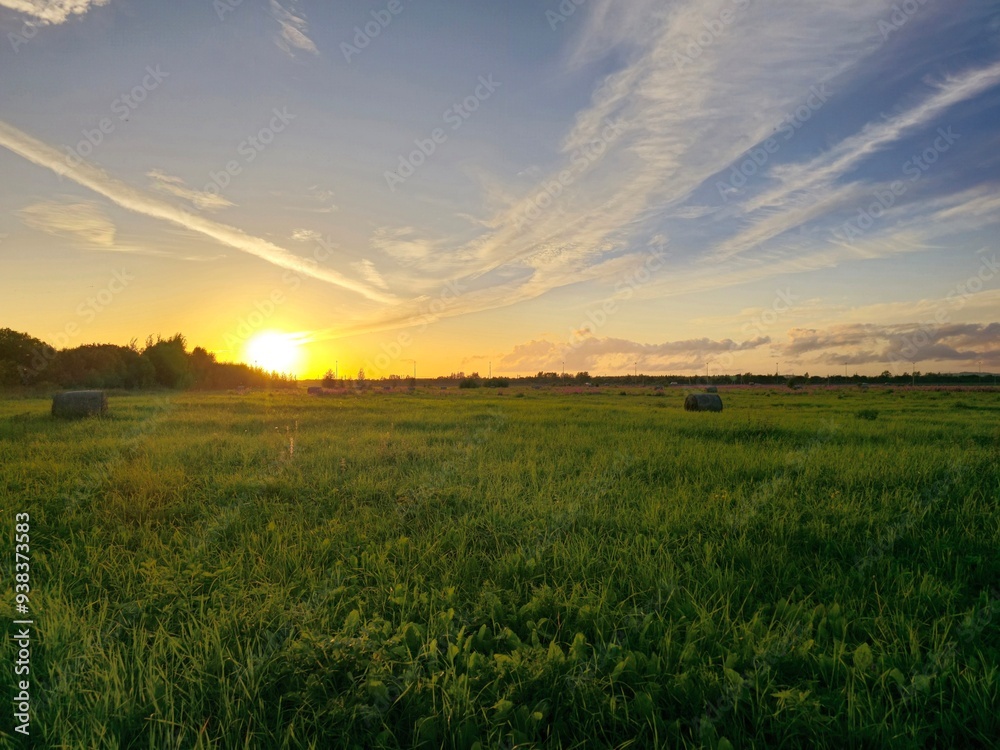 sunset over field