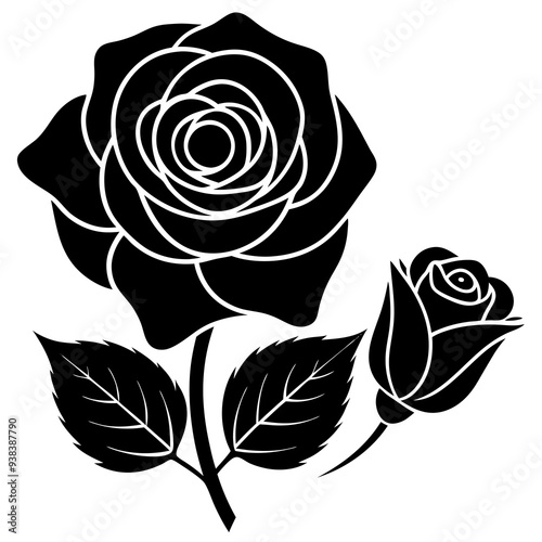 rose vector illustration