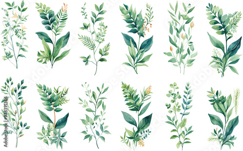  vector botanical frame foliage vintage garden set card leaf illustration nature plant watercolor decoration flower design invitation