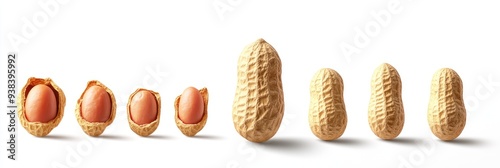 Shelled and Unshelled Peanuts in a Row photo