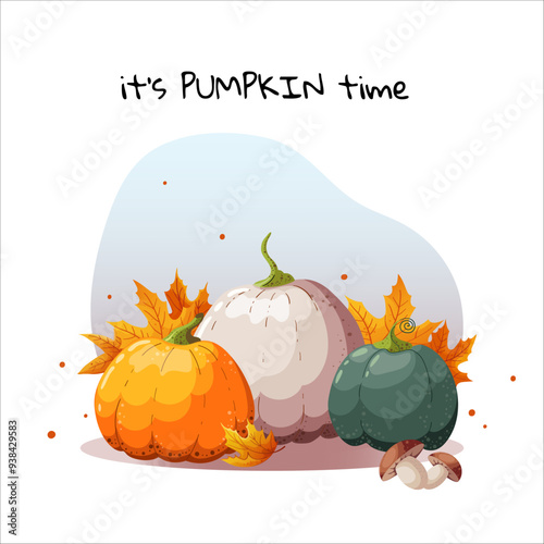 Autumn colorful composition with garden pumpkins of different colors and sizes, leaves and mushrooms. Beautiful ripe pumpkins in foliage. Autumn design for postcards or banners
