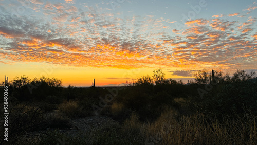 Arizona sunset scattered colorful clouds saguaro cactus and trees