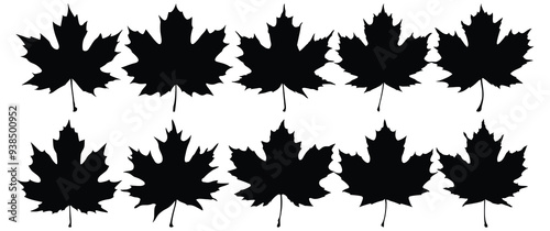 Leaf silhouette set vector design big pack of foliage illustration and icon