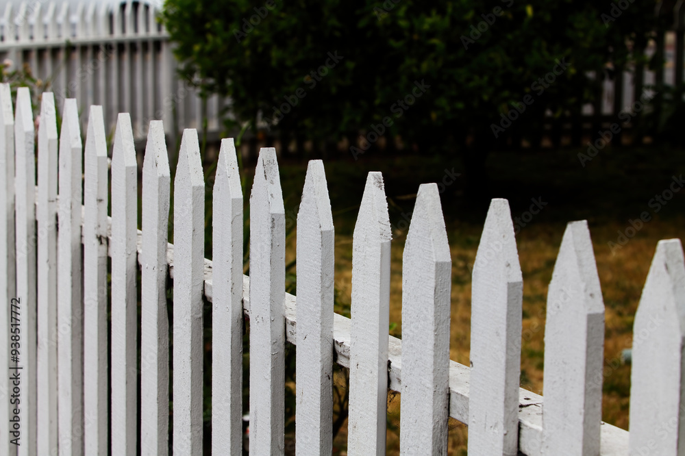 White Wooden Picket Fence Enclosing Yard With Plants White Wooden Picket Fence Enclosing Yard With Plants