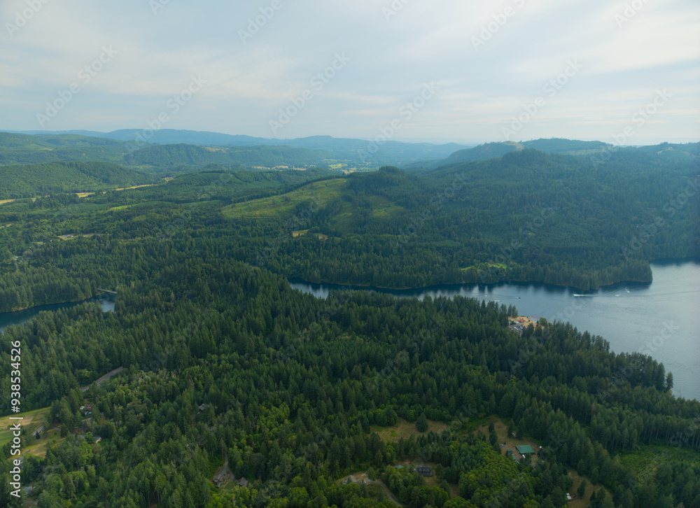 Fototapeta premium A lush green forest with a lake in the background