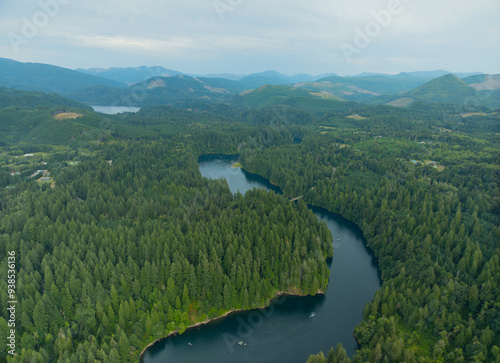 Wallpaper Mural A river runs through a forest with trees on both sides Torontodigital.ca