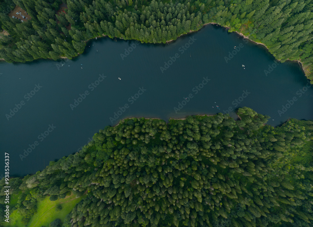 A forest with a lake in the middle