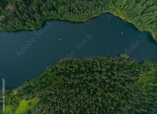 Obraz na płótnie A forest with a lake in the middle w salonie
