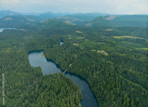 A beautiful forest with a river running through it photo