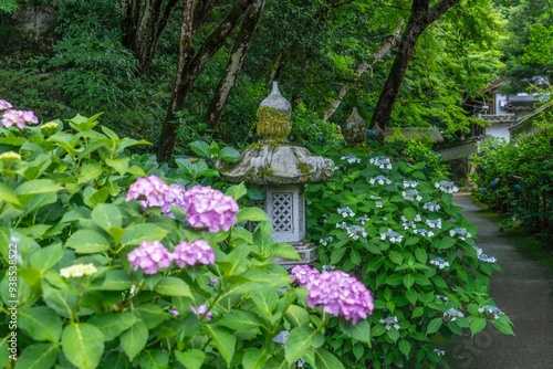 静寂に包まれた参道で見た満開のアジサイと灯籠のコラボ情景 photo