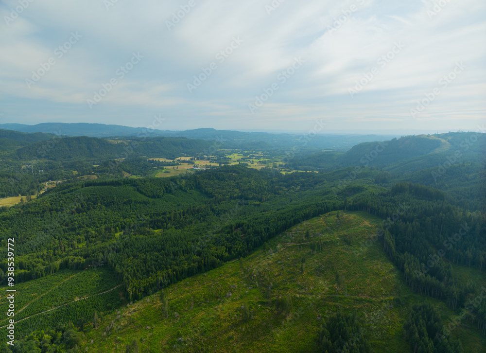 Obraz premium A lush green hillside with a forest in the background