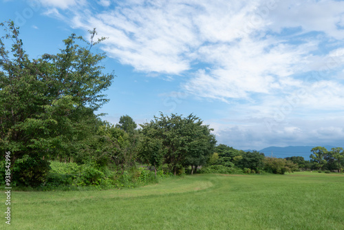 夏の公園散策 青空と緑 滋賀県守山市びわこ地球市民の森