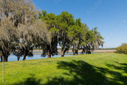 An isolated stone bench amidst the tranquil surroundings of Middleton Place plantation in South Carolina, embodying the concept of serenity. photo