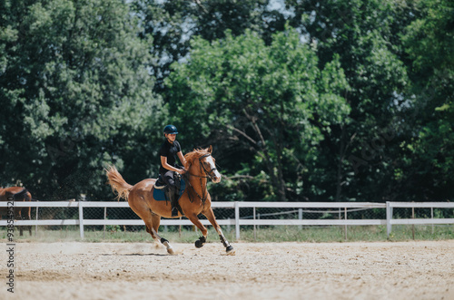 Canvastavla Young equestrian riding a horse at an outdoor training arena, demonstrating skill and control on a sunny day with a green forest background