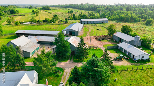 sheep farm