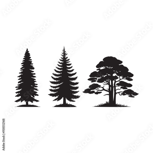 pine  tree silhouette isolated on white background .vector illustration. Beautiful hand drawn panorama with treetops forest. Black pine woods