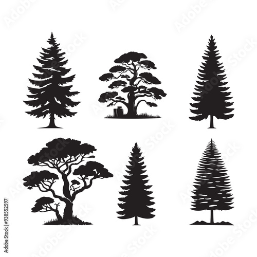 pine  tree silhouette isolated on white background .vector illustration. Beautiful hand drawn panorama with treetops forest. Black pine woods