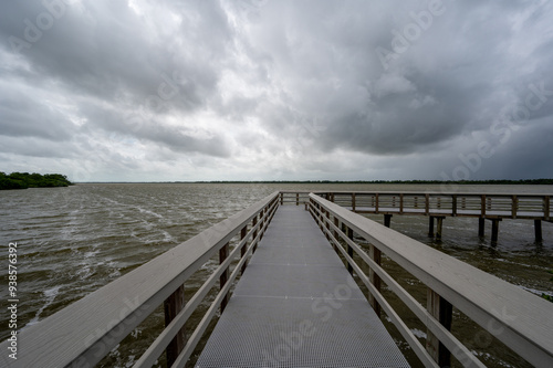 Early weather effects of Tropical Storm Debby in Everglades National Park, Florida with strong winds and storm cloud formation over West Lake. photo