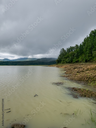 Reserva Forestal La Yeguada Panama photo