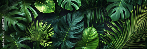 Wallpaper Mural Tropical Leaf Pattern. Torontodigital.ca
