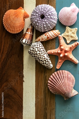 Various colored shells on a striped colored wooden board. photo