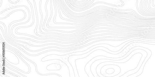 Abstract Contour Topographic Line Pattern in Gray and White, Abstract lines background. Contour maps. Topo contour map on white background,