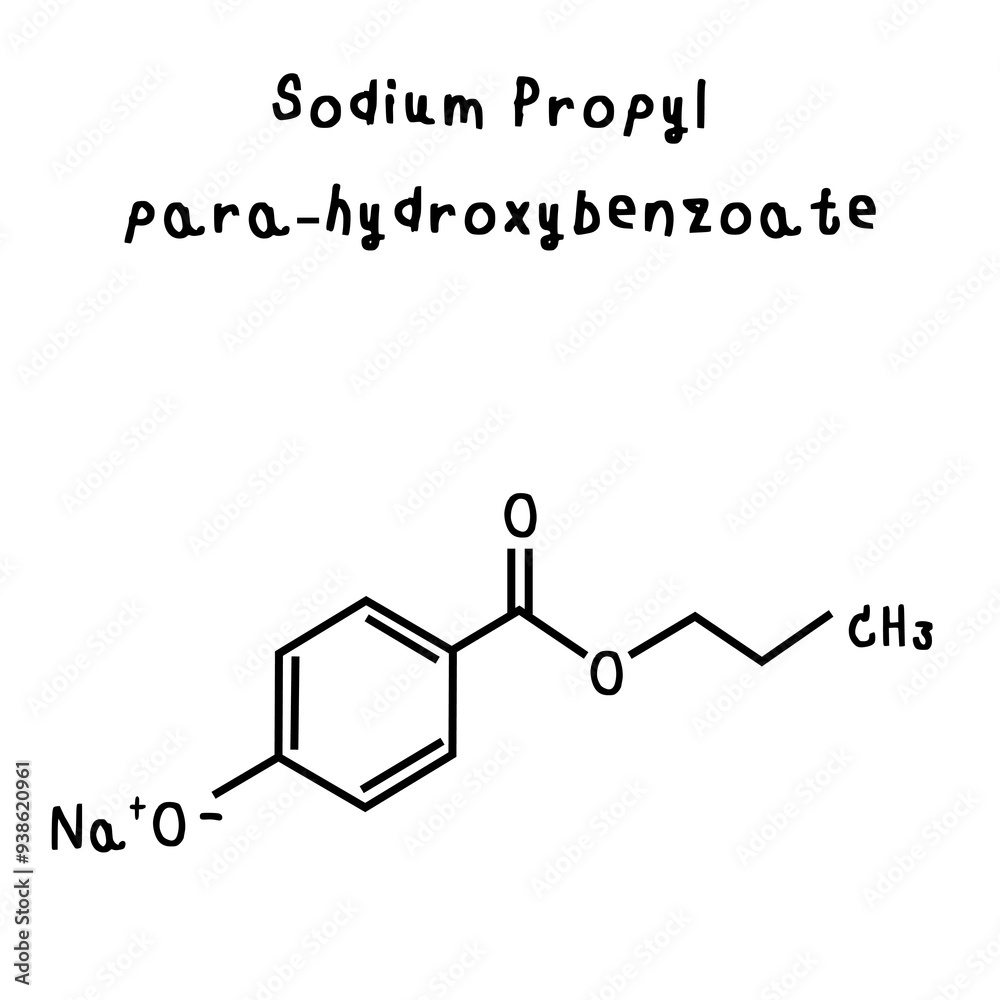 chemical structure of Sodium Propyl -para-hydroxybenzoate illustration chemical structure of Sodium Propyl -para-hydroxybenzoate illustration