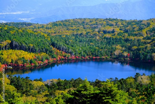 白駒池の湖畔に映える紅葉