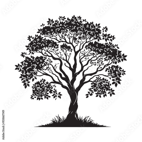Night sunset shines bright abstract silhouette black bush tree cloud sky nature background, Rain Tree, Samanea saman on blue sky nature background
