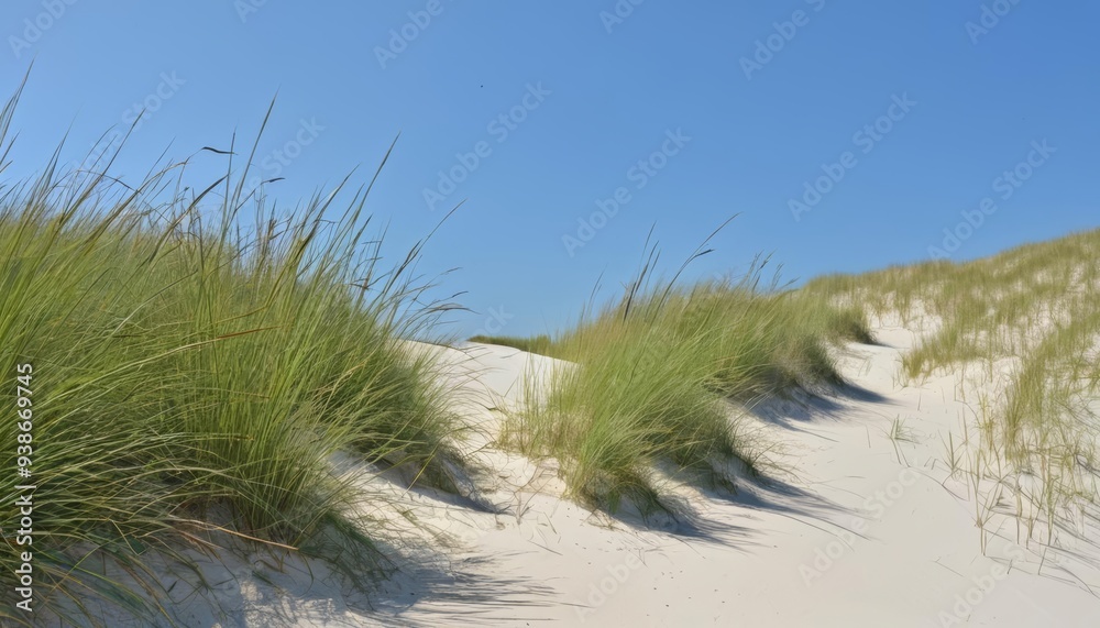Serene beach landscape with grassy dunes and clear blue sky Serene beach landscape with grassy dunes and clear blue sky