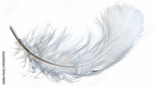 a soft, white down feather with fine textures and a gentle curve, set against a clear, transparent background.