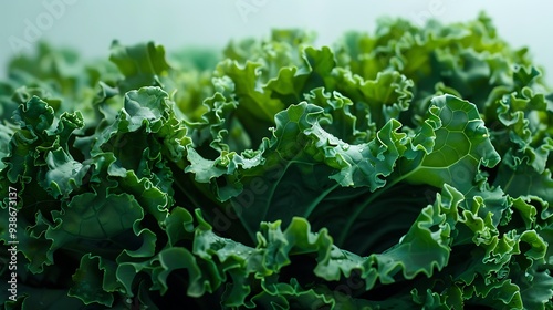 A fresh green kale leaf, its ruffled edges and deep green color displayed on a white background.