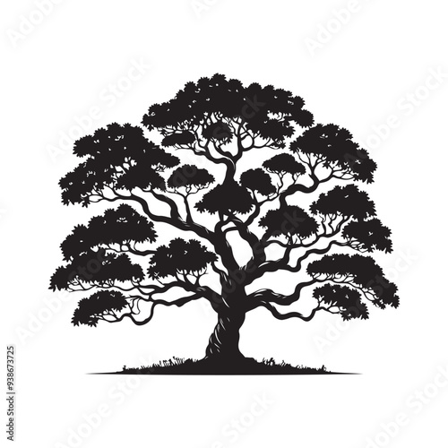 Sandalwood tree Black silhouette on a white background. Vector. Set.