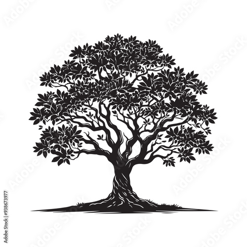 Sandalwood tree Black silhouette on a white background. Vector. Set.