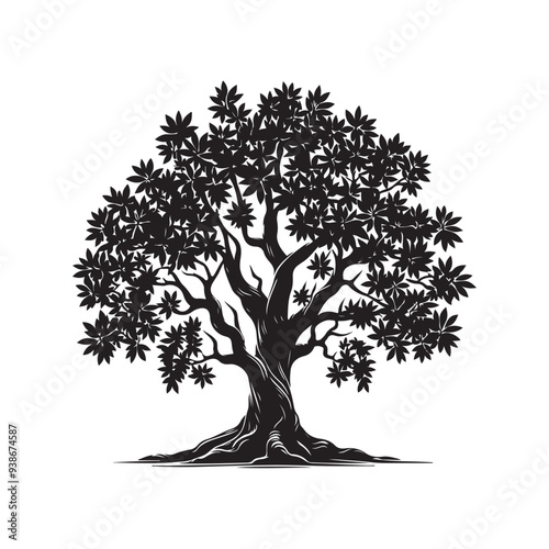 Sandalwood tree Black silhouette on a white background. Vector. Set.