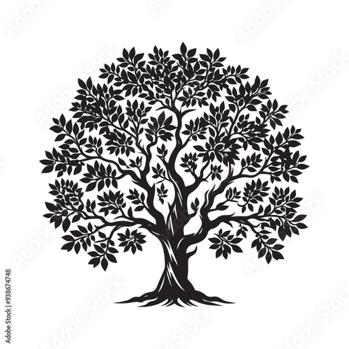 Sandalwood tree Black silhouette on a white background. Vector. Set.