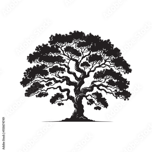Sandalwood tree Black silhouette on a white background. Vector. Set.