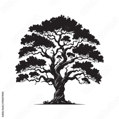 Sandalwood tree Black silhouette on a white background. Vector. Set.